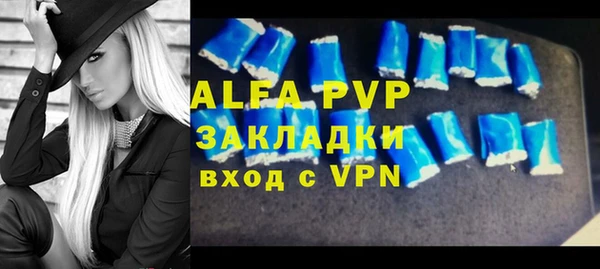 индика Алексин