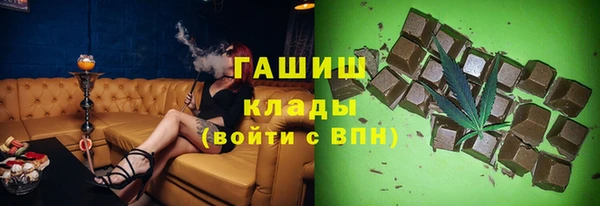 индика Алексин