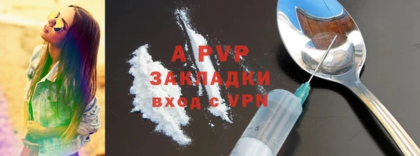 индика Алексин