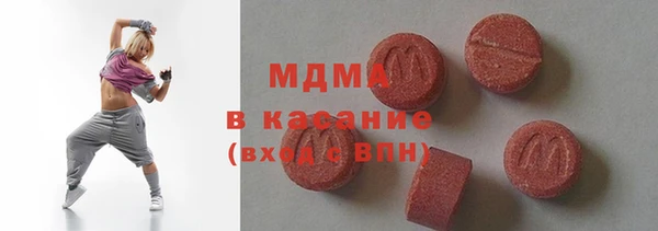 индика Алексин